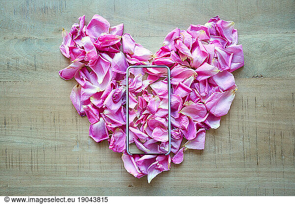 Rose petals forming a heart and mobile phone with photo
