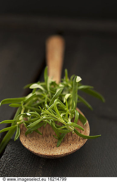 Rosemary on wooden spoon  close up