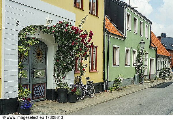 Rosen an Häusern in einer kleinen Straße im idyllischen Stadtzentrum von Ystad  Schonen  Skandinavien  Schweden  Europa