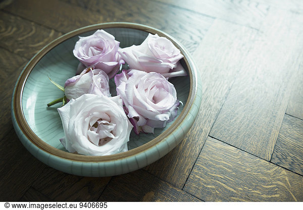 Roses in ceramic bowl  close up