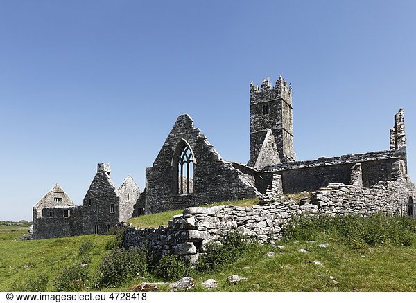 Ross Abbey nahe Headford  County Galway  Connacht  Republik Irland  Europa