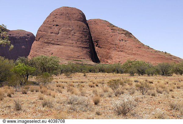 Rotbraune Felskuppen am Rand der Olgas  Kata Tjuta National Park  Northern Territory  Australien