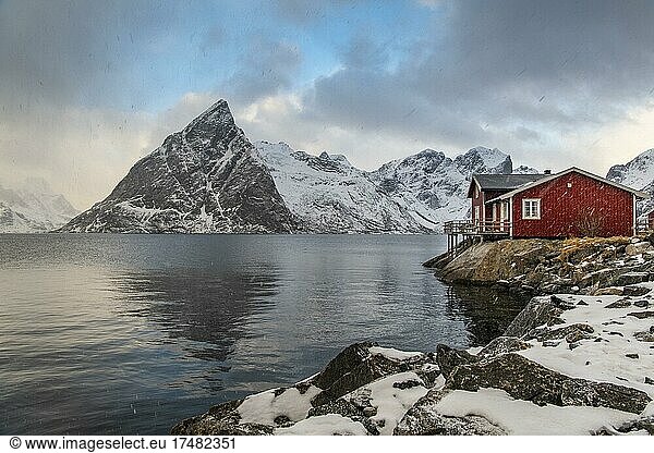 Rote Bootshäuser im winterlichen Hafen  skandinavisches Bootshaus  Berge  Schnee  Fjord  Meer  Hamnøy  Nordland  Lofoten  Norwegen  Europa