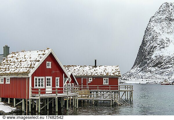 Rote Bootshäuser im winterlichen Hafen  skandinavisches Bootshaus  Berge  Schnee  Fjord  Meer  Reine  Nordland  Lofoten  Norwegen  Europa