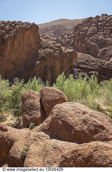 Rote Felsformationen im Dadès-Tal Marokko Afrika