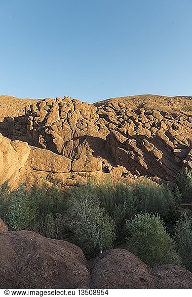 Rote Felsformationen im Dadès-Tal  Marokko  Afrika
