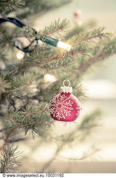 Rote Ornamente und Lichterketten am Weihnachtsbaum