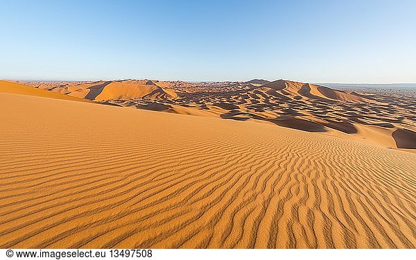 Rote Sanddünen in der Wüste  Dünenlandschaft Erg Chebbi  Merzouga  Sahara  Marokko  Afrika