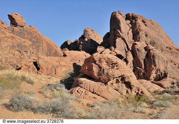 Rote Sandsteinfelsen  Valley of Fire State Park  Nevada  USA