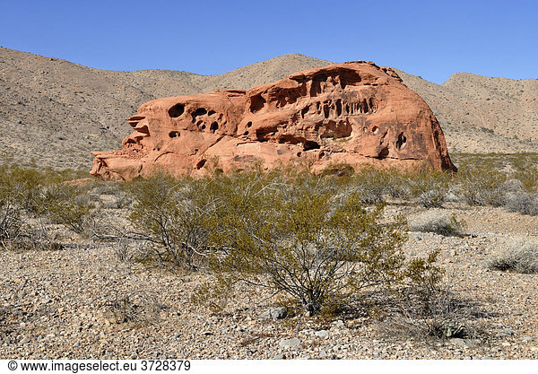 Rote und bräunliche Felsformationen  Valley of Fire State Park  Nevada  USA