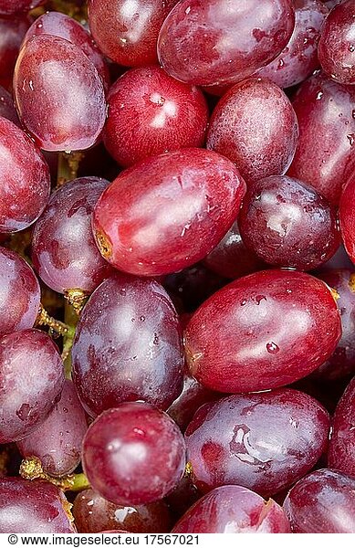 Rote Weintrauben Trauben Weintraube Traube Früchte Frucht Hintergrund von oben