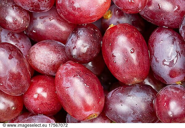 Rote Weintrauben Trauben Weintraube Traube Früchte Frucht Hintergrund von oben