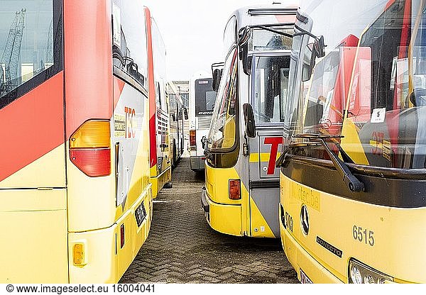 Rotterdam  Netherlands. Decomissioned public transport busses  formely used in Belgium  now waiting at Mewerhaven Docks to be shipped out to Thirth World Countries to be re-used or demolished.