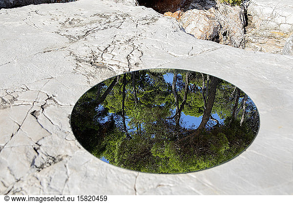 Round mirror lying on chalk cliff  reflecting pine forest