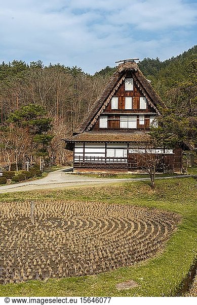 Round rice field with farmhouse  reconstruction of an old Japanese village  Hida Minzoku Mura Folk Village  Hida no Sato  Takayama  Japan  Asia