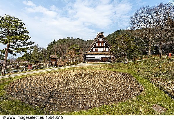 Round rice field with farmhouse  reconstruction of an old Japanese village  Hida Minzoku Mura Folk Village  Hida no Sato  Takayama  Japan  Asia