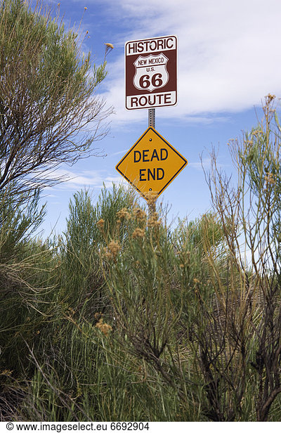 Route 66 and Dead End Signs