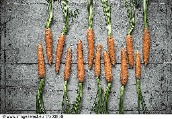 Row of fresh carrots lying on gray wooden surface