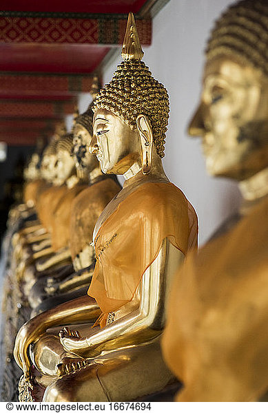 Row of golden Buddha statues at the Wat Pho temple  Bangkok  Thailand.