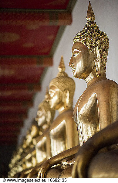 Row of golden Buddha statues at the Wat Pho temple  Bangkok  Thailand.