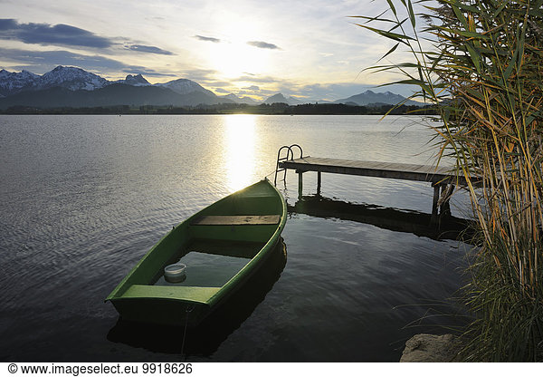 Rowboat with Sun Reflecting on Lake  Hopfen am See  Lake Hopfensee  Bavaria  Germany
