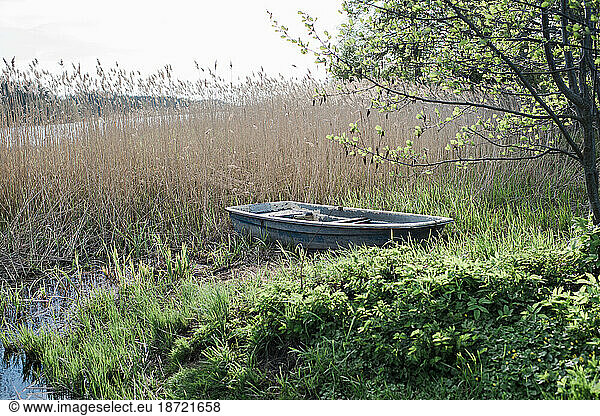 rowing boat sitting on the grass by a lake in summer