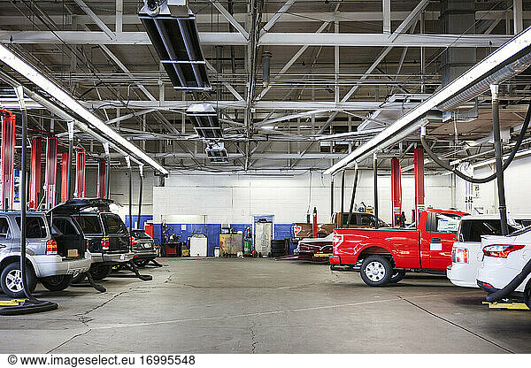 Rows of cars and trucks in auto repair shop