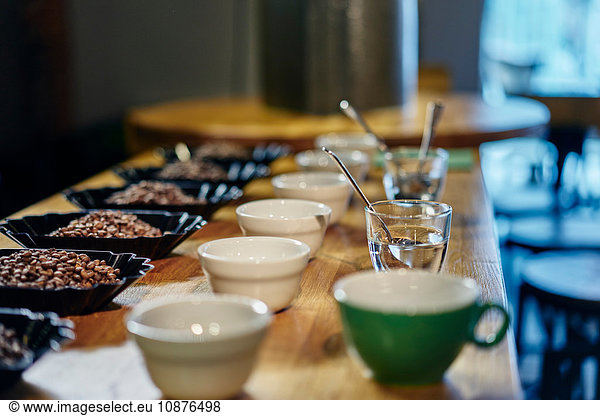 Rows of coffee beans and bowls for tasting on coffee shop counter