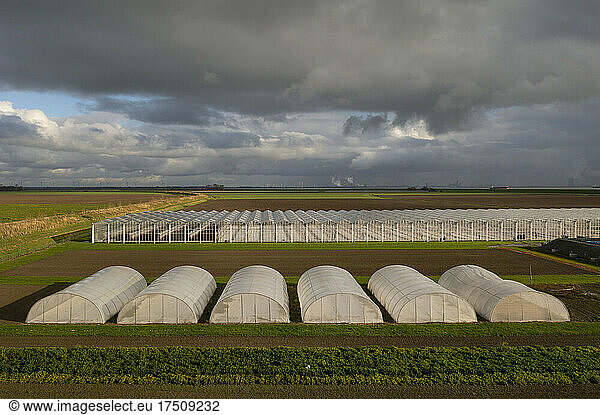 Rows of greenhouses in field