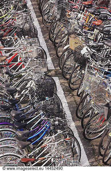 Rows of Parked Bicycles
