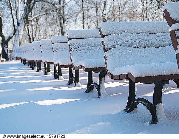 Rows of snow-covered benches