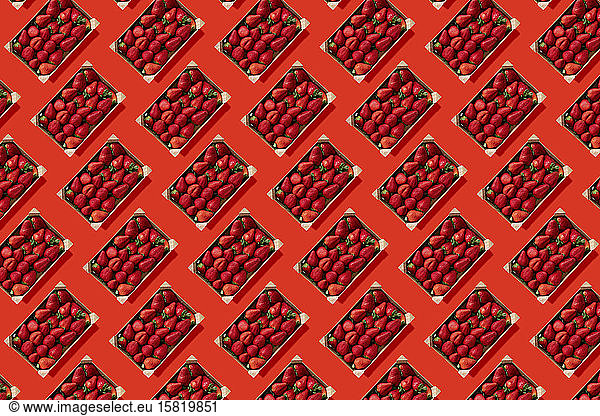 Rows of strawberries in wooden boxes against red background