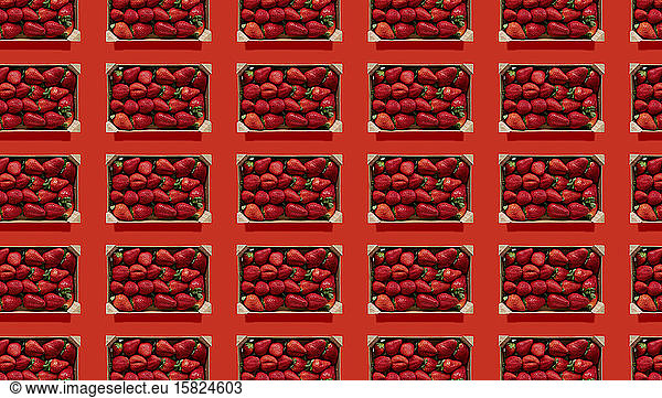 Rows of strawberries in wooden boxes against red background