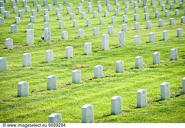 Rows of War Graves