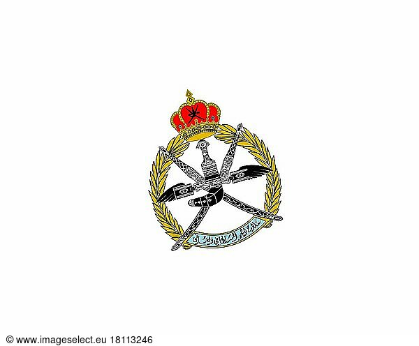 Royal Air Force of Oman  Rotated Logo  White Background