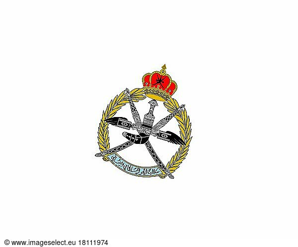 Royal Air Force of Oman  rotated logo  white background B