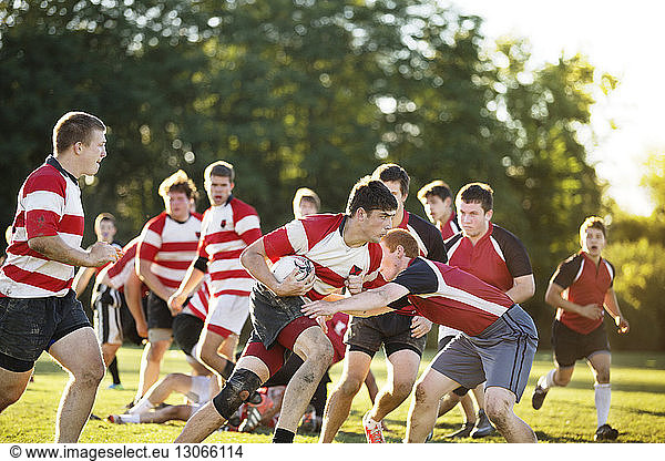 Rugby team playing on field