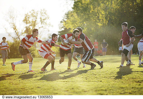 Rugby-Team spielt bei Sonnenschein auf dem Spielfeld
