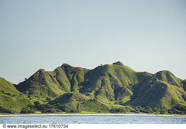 Rugged landforms covered in green foliage along the ocean coastline under a blue sky  with birds standing on the peaks and a beach along the shoreline  Komodo National Park; East Nusa Tenggara  Indonesia