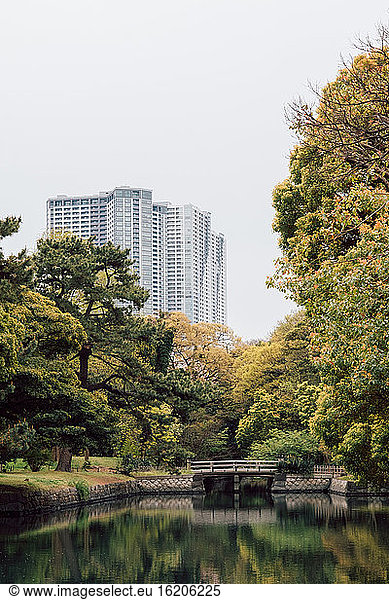 Ruhige Szene eines Sees mit Hochhäusern im Hintergrund  Tokio  Japan