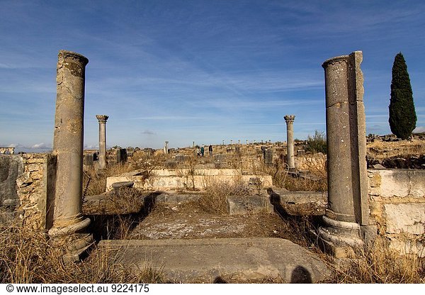 Ruine, Marokko, römisch, Volubilis