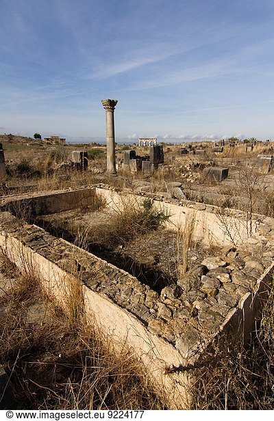 Ruine, Marokko, römisch, Volubilis