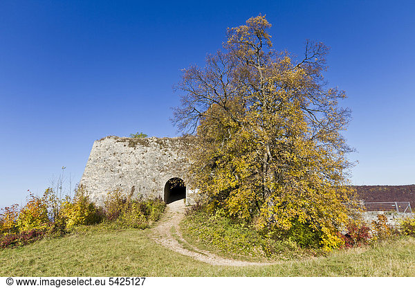 Ruine Burg Hohenurach  Bad Urach  Schwäbische Alb  Landkreis Reutlingen  Baden-Württemberg  Deutschland  Europa
