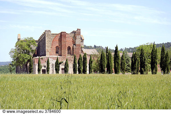 Ruine der Abtei San Galgano  Toskana  Italien