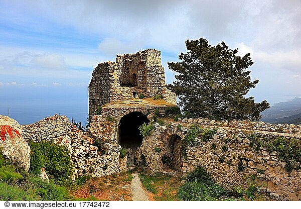 Ruine der Burg Kantara im Kantara Forest  Nordzypern