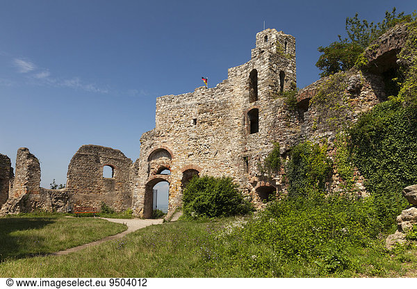 Ruine der Burg Staufen  Staufen im Breisgau  Schwarzwald  Baden-Württemberg  Deutschland  Europa