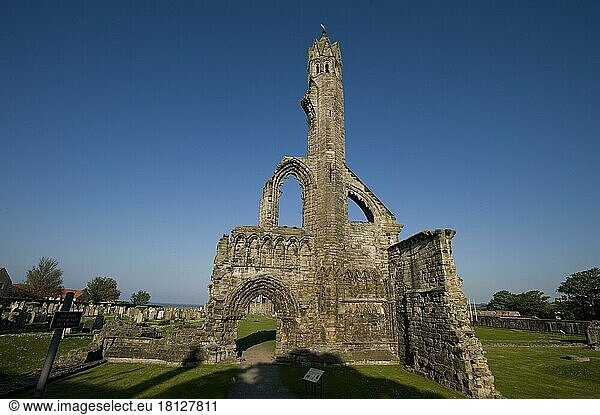 Ruine der St. Rules Kirche und Kathedrale  Friedhof  St. Andrews  Fife  Schottland  Großbritannien  Europa