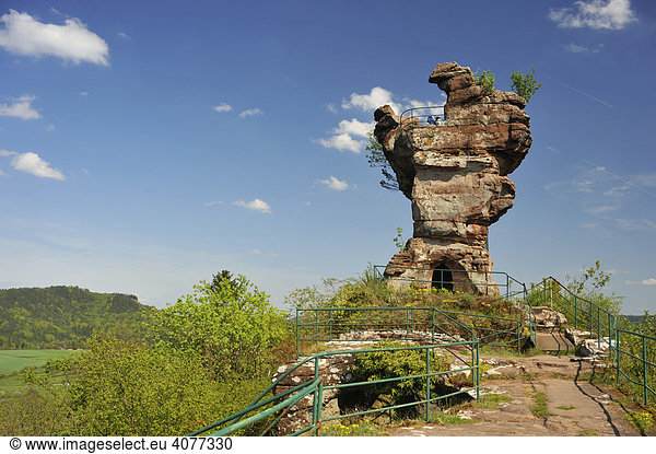 Ruine Drachenfels  auch Backenzahn genannt  Busenberg  Naturpark Pfälzerwald  Pfalz  Rheinland-Pfalz  Deutschland  Europa