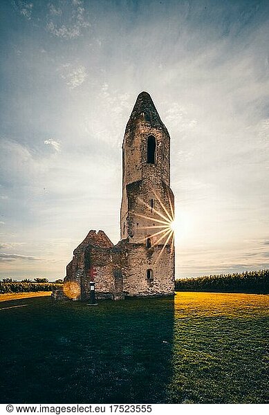 Ruine einer Kirche im Maisfeld. Alter katholisch Kirchturm im Sonnenuntergang  Pusztatorony  Somogyvamos am Balaton  Ungarn  Europa