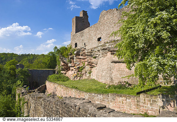 Ruine Madenburg  Eschbach  Deutsche oder Südliche Weinstraße  Pfalz  Rheinland-Pfalz  Deutschland  Europa
